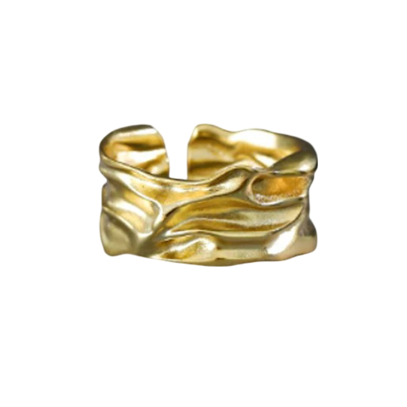 ANILLO VORA