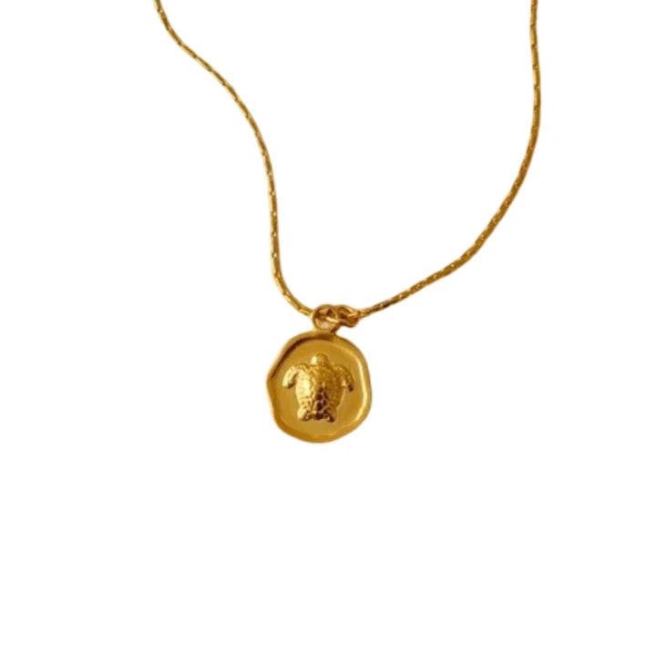 SIRTA NECKLACE | Steel Shells with Zirconia