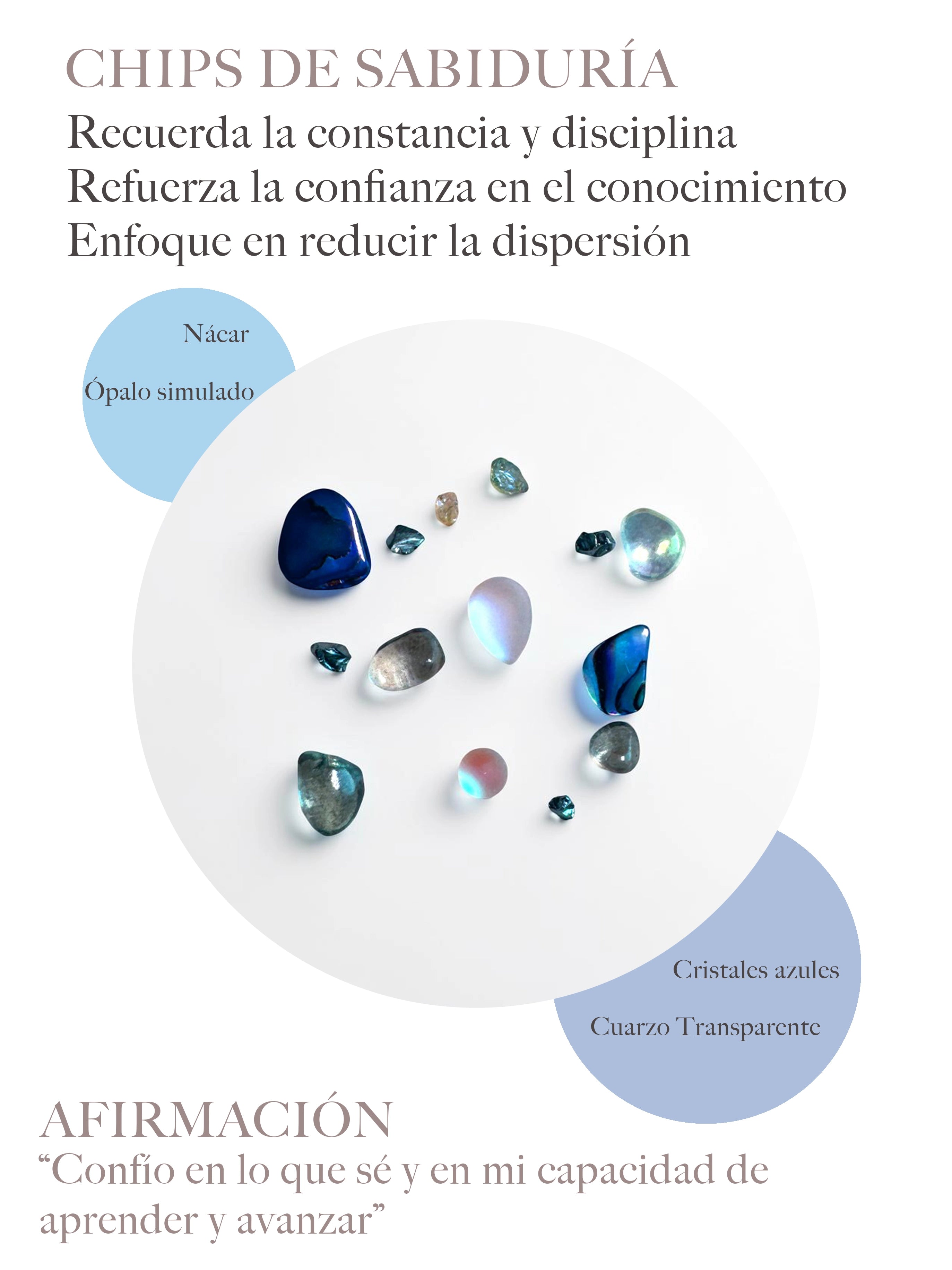 Charm Guard Wisdom: amuleto de estudio